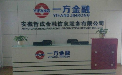 安徽哲成金融信息服务 专业赋能，助力实体经济高质量发展