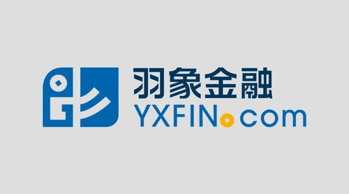 上海羽象金融信息服务 专业的金融信息服务解决方案